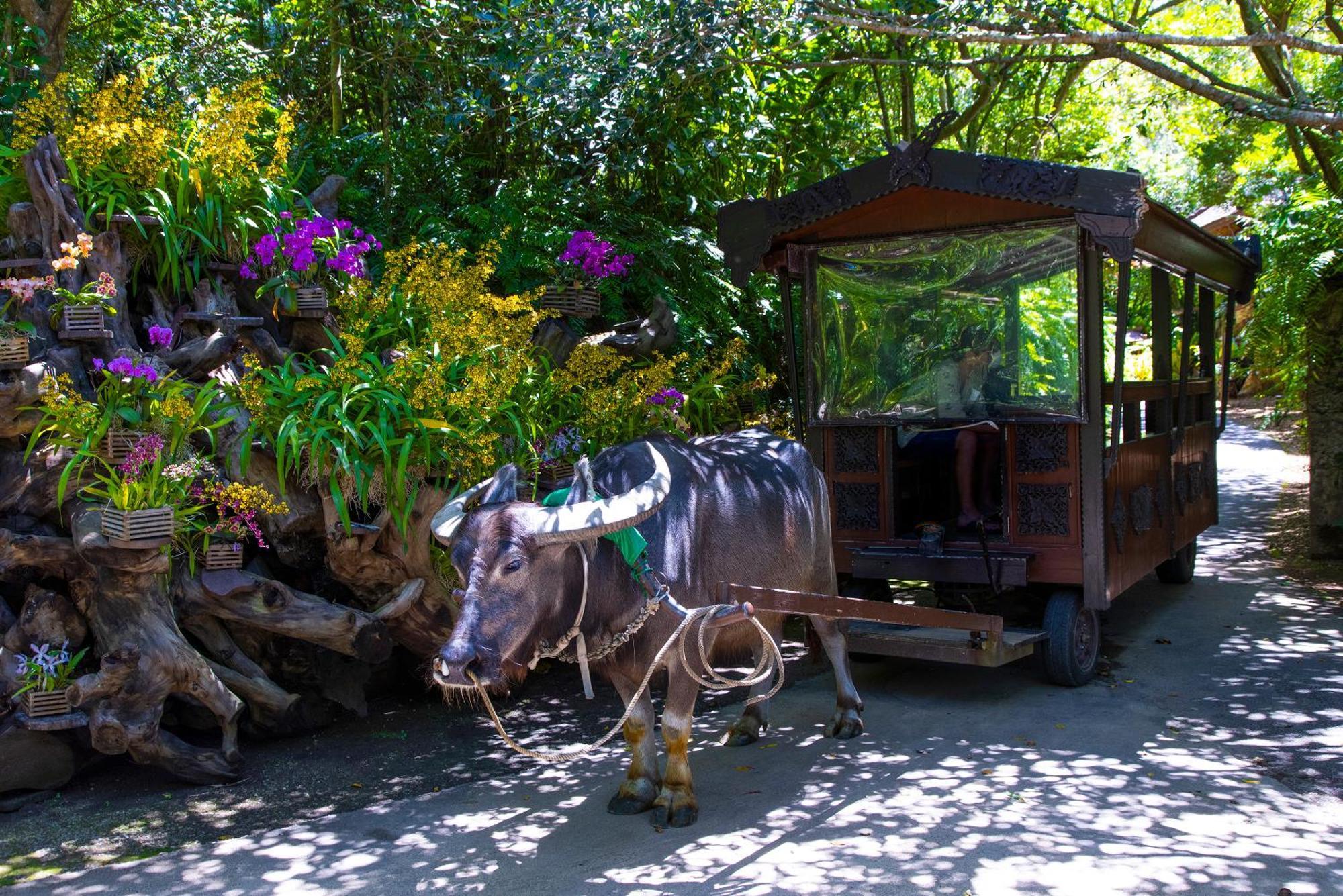 新規オープン サウナ Bbq ジャグジー付き 最大7名 無料駐車場4台 ビーチまで車で5分 Sky House Villa Uruma Luaran gambar